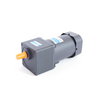 Gear Motor