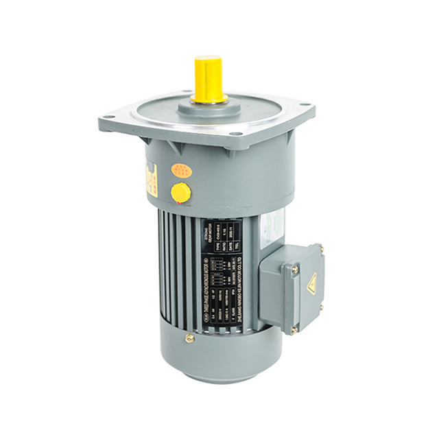 Gear Motor