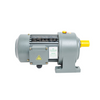 Gear Motor