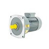 Gear Motor